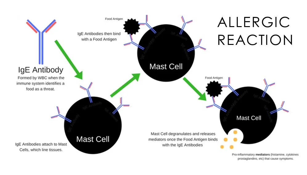 Allergy Chemistry